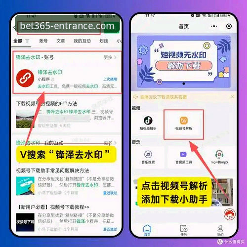 新手必看！bet365官网入口使用心得：靠谱吗？下载不了怎么办？一步步教你搞定