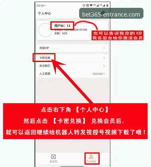 bet365官网入口新手教程：登录问题排查与手机版下载完整指南