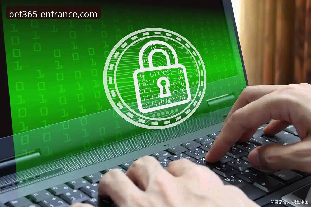 bet365官网入口密码重置流程深度解析：从数据看用户安全与便捷的平衡