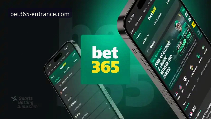 资深用户分享：bet365手机版下载推荐与官网入口实战经验